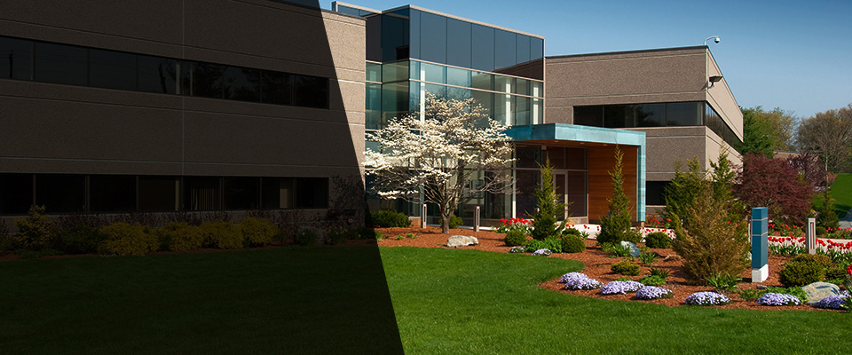 Yucca Valley Landscapers