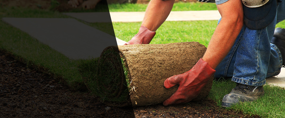 Yucca Valley Landscapers